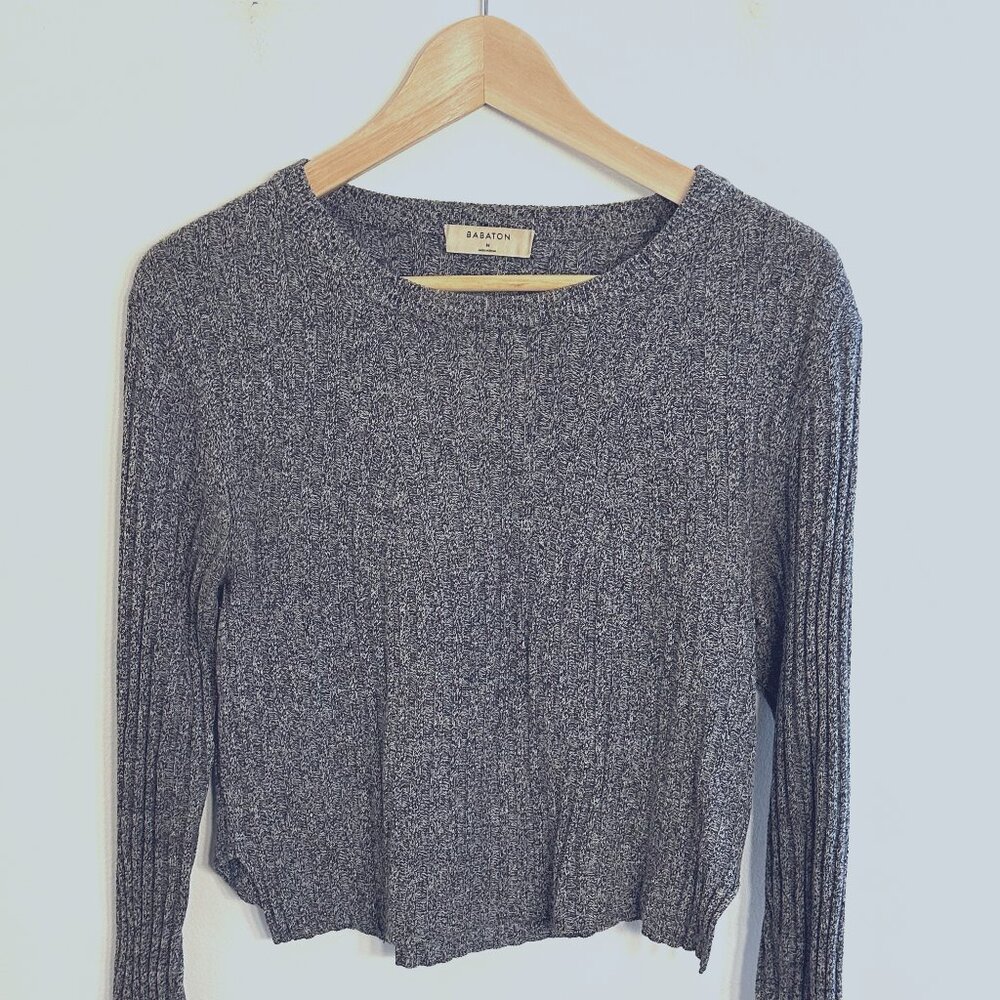 Aritzia Babaton Knit Sweater